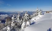 Tocht Sneeuwschoenen Crêts-en-Belledonne - randonnée raquette le Grand Rocher. le Crêt du Poulet  - Photo 2