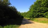 Trail Walking Pierrefonds - en forêt de Compiègne_30_la Tournante sous le Mont Saint-Mard - Photo 3