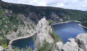 Tour Wandern Urbeis - Tour de lac Noir et du Lac Blanc  - Photo 9