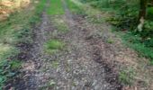 Tour Reiten Viroinval - rando pour intermédiaire  - Photo 1