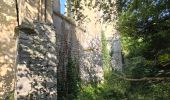 Randonnée Marche Avon-les-Roches - Avon-les-Roches - Lavoirs et Collégiale des Roches Tranchelion - Photo 12