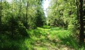 Trail Walking Theux - autour de Bronromme a travers campagne fagne et forêt  - Photo 1