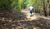 Tocht Stappen Le Robert - Ephad Le Robert - Usine du Galion - Photo 7