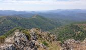 Tocht Stappen Val-d'Aigoual - Favieres Col Homme mort Bonperrier par crête Lacan - Photo 1