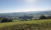Randonnée Trail Beyrie-sur-Joyeuse - Pays basque 15.4kms - Photo 3