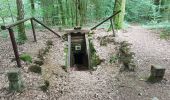 Tour Wandern Ronchamp - Ronchamp - sentier des Affleurements de l'Etançon - Photo 9