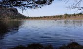 Trail Walking Bonlieu - Tour du lac de Bonlieu et le marais - Photo 1