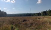 Tocht Stappen Waimes - autour de botrange et du bois de sourbrodt - Photo 11