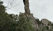 Tour Wandern La Roquebrussanne - La Roquebrussanne dec 2023 - Photo 5