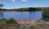 Tocht Stappen Bellefontaine - Lac de Bellefontaine er lac des Mortes . - Photo 3