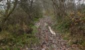 Excursión Senderismo Sprimont - Sendrogne-Cornémont-Blindef - Photo 1