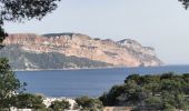 Tour Wandern Cassis - Calanques de Cassis - Photo 2