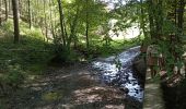 Tocht Stappen Érezée - le trou du loup - Photo 5