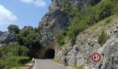 Trail Electric bike Monteux -  Carpentras gorges de la Nesque - Photo 7