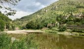 Trail Walking Gorges du Tarn Causses - Sainte enfiliez - Photo 5