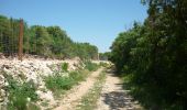 Excursión Senderismo Tharaux - Tharaux - Photo 11