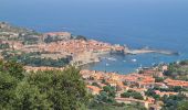 Trail Walking Port-Vendres - Rando Port Vendres du 23/07/2021 - Photo 1