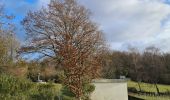 Tour Wandern Montauville - Le père Hilarion Montauville  - Photo 17