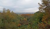 Tour Wandern Palaiseau - SityTrail - GRP CV-IDF - Photo 8