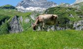 Tour Wandern Lech - Boucle à décrire  - Photo 2