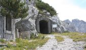 Excursión A pie Vigo di Cadore - Itinerario storico del Monte Tudaio - Photo 6