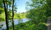 Trail Walking Bouillon - Botassart 240523 - Photo 8