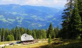 Percorso A piedi Feld am See - Wanderweg 180 Mirnock - Schwarzsee - Photo 4