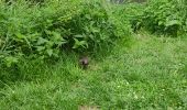 Trail Walking Palaiseau - Le tour de Villebon - Photo 1