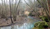 Trail On foot Canale Monterano - IT-264 - Photo 4