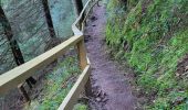 Tour Wandern Bad Peterstal-Griesbach - Bad Peterstal - cascade du Holchen - lac de Glaswald – échelle de la chaire du diable - cascade de Griesbach - Photo 11