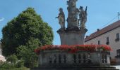 Tour Zu Fuß Leopoldschlag - Töpferweg - Photo 4