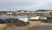 Excursión Senderismo Gruissan - Gruissan - Tour de l'île Saint Martin par l'Ayrolle - Photo 8