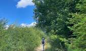 Tocht Stappen Rendeux - Cheoux  - Photo 5