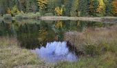 Tour Zu Fuß Oberaudorf - Wanderweg 9 - Oberaudorf - Photo 7