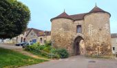 Tour Wandern Joigny - Joigny - Villeneuve sur Yonne et 2/3  - 35 km IBP 97 - Photo 7