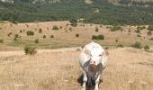 Tocht Stappen Barcillonnette - Lac de Peyssier  - Photo 10