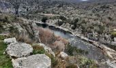 Excursión Senderismo Balazuc - Balazuc Corniche Coste Baume 7km  - Photo 4