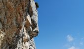 Trail Walking Le Bar-sur-Loup - Barres de Cavillore - Photo 1