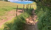 Trail Walking Hautot-sur-Mer - Hautot-sur-Mer - Photo 2