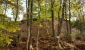 Randonnée Marche Grendelbruch - Grendelbruch - château de Guirbaden - châtaignes - Photo 6