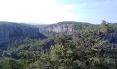 Tour Wandern Berrias-et-Casteljau - 2020-09-16 : casteljau- tour de la presqu’île et vues sur le chassezac - Photo 6