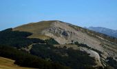 Excursión Senderismo Marignac-en-Diois - Marignac - But de l'Aiglette - Col de Vassieux - Photo 9