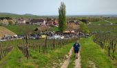 Randonnée Marche Mittelwihr - Mittelwihr - Beblenheim - Zellenberg - Hunawihr  - Riquewihr -  Nécropole de Sigolsheim - Photo 10