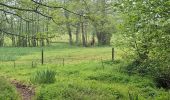 Trail Walking Le Mesnil-Simon - Le Mesnil Simon - Photo 16