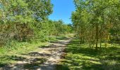 Tocht Stappen Torreilles - Boulistes Cave Bourdi Moulin - Photo 1