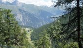 Trail On foot Morgex - Itinerario 16 Col San Carlo Colle Della Croce - Photo 5