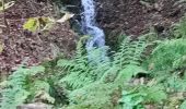 Randonnée Marche Orbey - Vallée des 5 lacs  - Photo 7