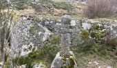 Trail Walking Recoules-d'Aubrac - Pont gourmier Recoules Nasbinals Le Bes - Photo 1