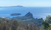 Tour Wandern La Ciotat - La Ciotat Cassis par la falaise cap canaille  - Photo 8