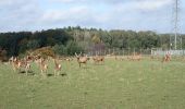 Tour Mountainbike Namen - Circuit des fermes de Hesbayes - Photo 1